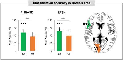 Neural classification maps for distinct word combinations in Broca’s area